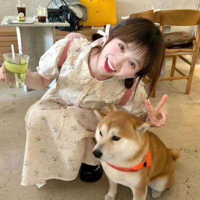 数码特工